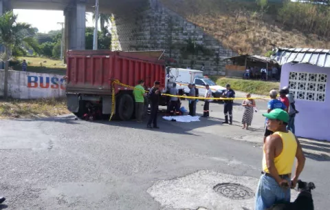 Buscaba donde tomar una siesta, pero fue aplastado por un camión