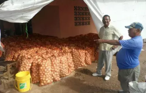 Productores molestos por importación suspenden envío de productos al mercado