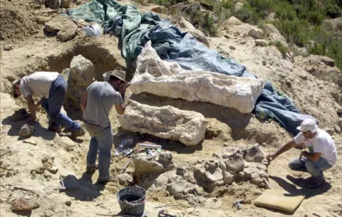Descubren en Argentina uno de los mayores dinosaurios del mundo