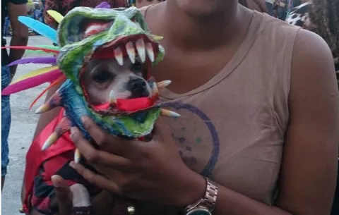 Can disfrazado de "Diablico Sucio" gana concurso de disfraz en La Chorrera  