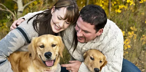 Estudio revela que los perros pueden percibir las emociones de los humanos