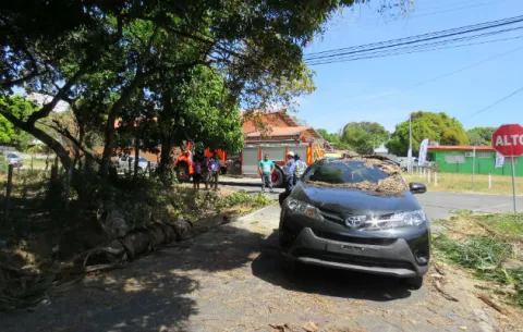 Palma cae sobre un carro en marcha en Penonomé