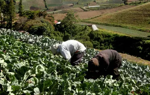 Realizarán revisión exhaustivas a normas de importación