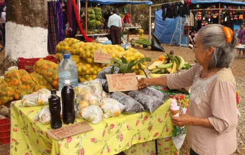 Productores de Santa Fe están esperanzados en la feria para vender sus cosechas