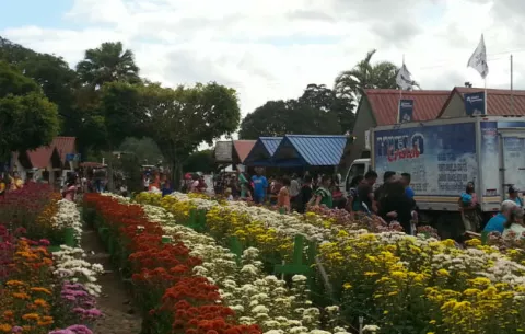 Aumenta número de visitantes a la Feria de Las Flores y El Café 