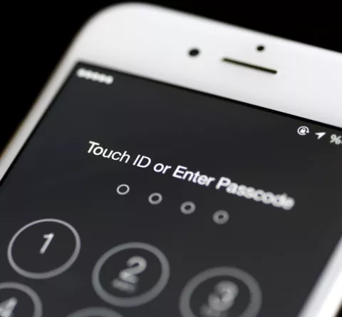   Se unen a la revelación de Apple en contra de las peticiones de EE.UU. 