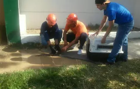 Recuperan pequeño caimán en el Joaquín Franco de Las Tablas