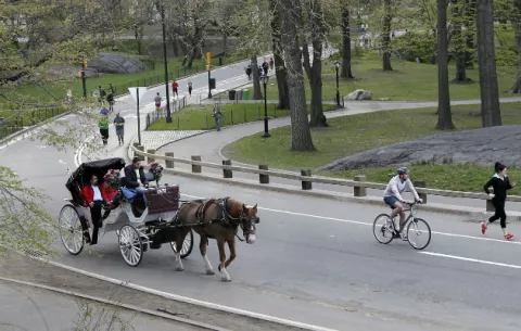 Frenan plan para prohibir carruajes en Nueva York 