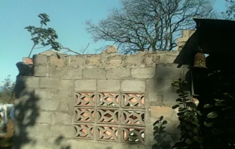 Caída de árboles y voladuras de techos en Chiriquí por fuertes vientos