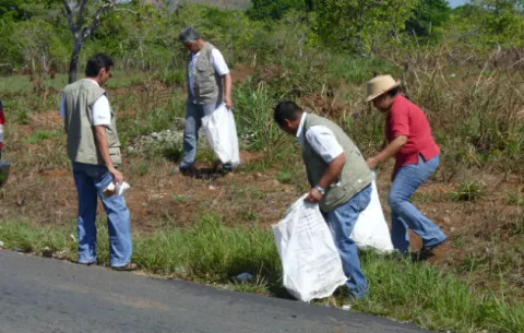 Alerta en Chiriquí por infestación del mosquito Aedes Aegypti