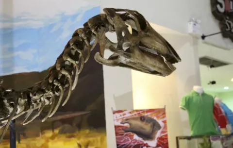 Descubren un nuevo dinosaurio en Tailandia al que conceden nombre de realeza