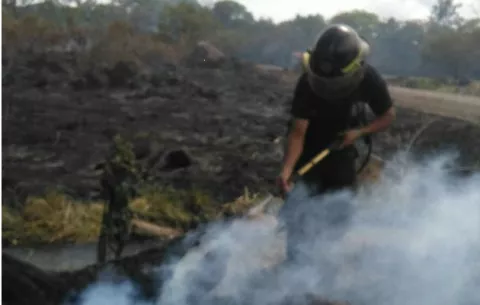 Más de 10 incendios se registran este viernes en el distrito de David