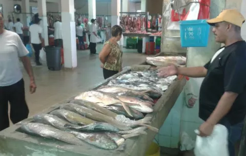 Escasea mariscos en Veraguas por mal tiempo y cambio climático