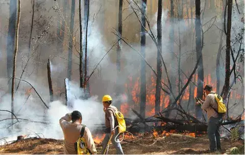 Incendio consume 70 hectáreas de reserva forestal en Cañazas