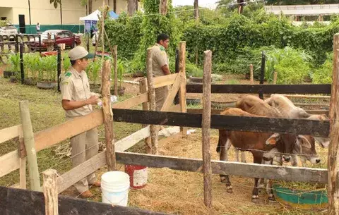 Concluye la feria de Veraguas con homenaje a egresados del INA