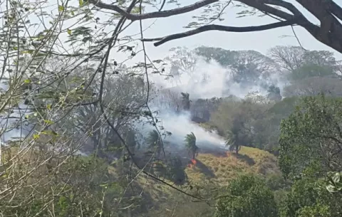 Incendios de potreros y bosques causan afectaciones a productores