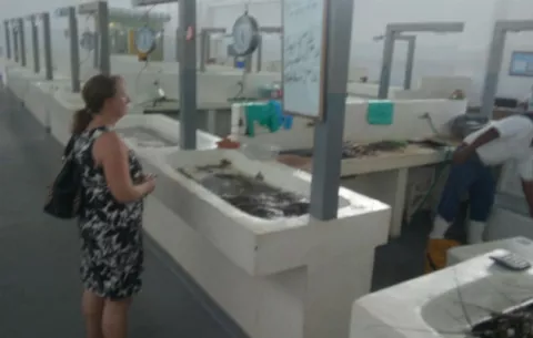 Mercado del Marisco de Río Hato no tiene pescado