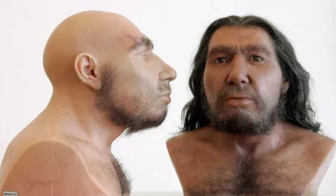 Tener ADN neandertal incrementa el riesgo de sufrir hasta 12 enfermedades