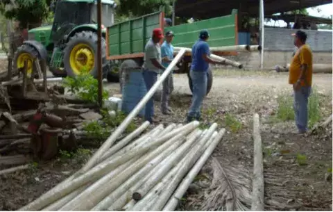 Comienzan trabajos en tuberías para culecos de Carnaval tonosieño