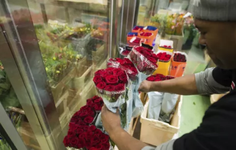  Los paquistaníes no saben si pueden celebrar San Valentín