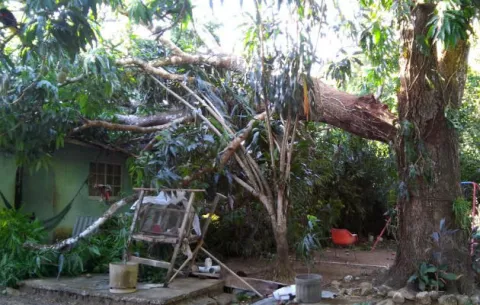 Fuertes vientos dejan afectaciones en viviendas de Chiriquí