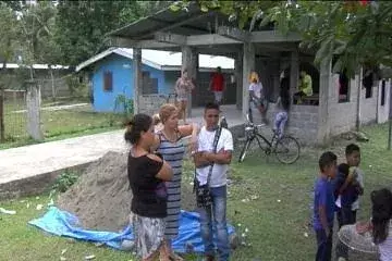 Abejas africanizadas atacan en Bocas del Toro