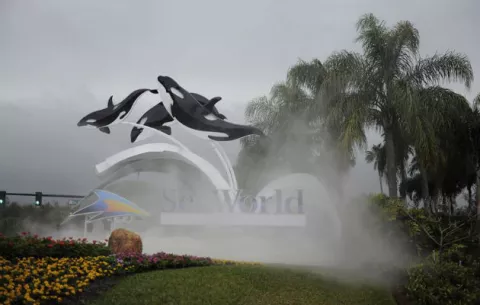 SeaWorld anuncia el fin de su programa de espectáculos con orcas