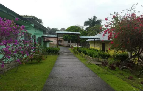 Ladrones hurtan en hogar asilo de Puerto Pilón 