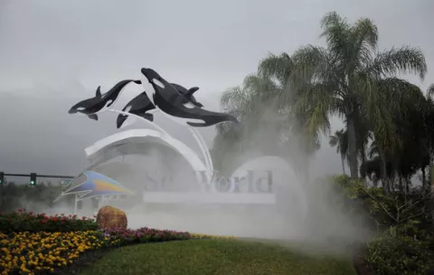 La orca que mató a su entrenadora está muy enferma