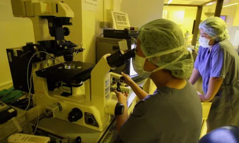 Costa Rica inicia análisis para implementar la fecundación in vitro
