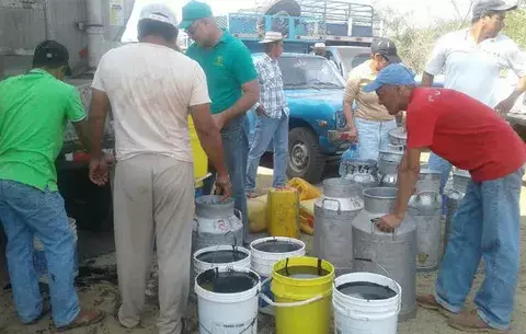 Productor chiricano apoya a 600 ganaderos santeños con melaza para un mes