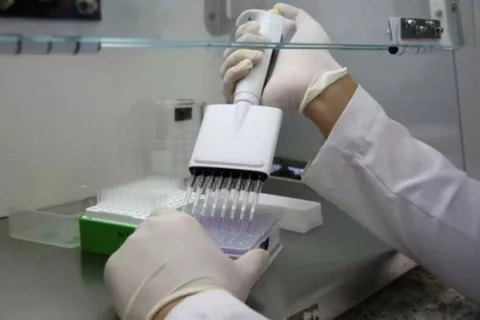Voluntarios se inyectan con dengue para hallar vacuna