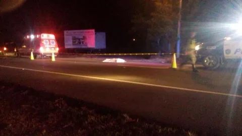 Otra víctima por atropello en vía que conduce de Los Algarrobos a Boquete