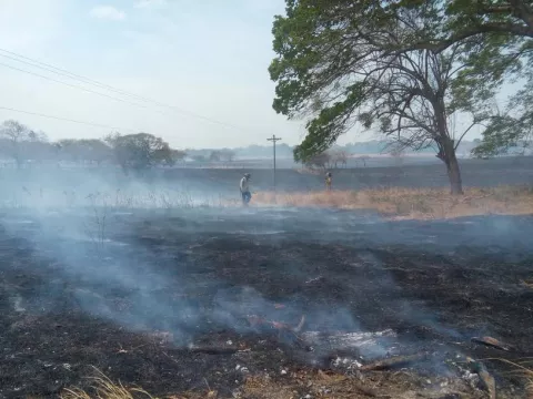 Incendian pasto en potrero en El Rosario de Penonomé