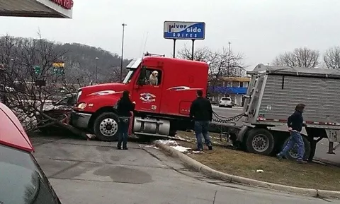 Perro choca camión contra un árbol y un auto en Minnesota 