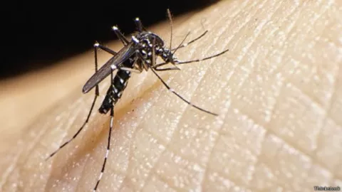 Salud confirma primer caso de zika importado en San Miguelito