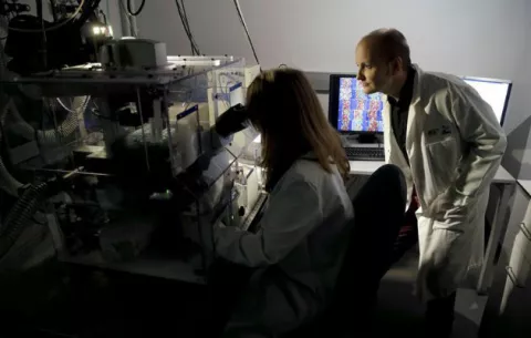 Científicos de EE.UU. descifran las preferencias de los microbios 