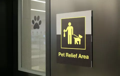 Aeropuerto JFK de Nueva York estrena sanitario para mascotas