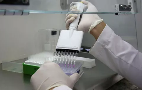 La etnia y la cultura afectan la tasa de supervivencia del cáncer, según estudio