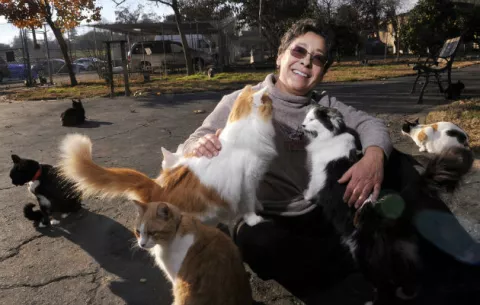 Mujer cede su vivienda para cuidar a miles de gatos 