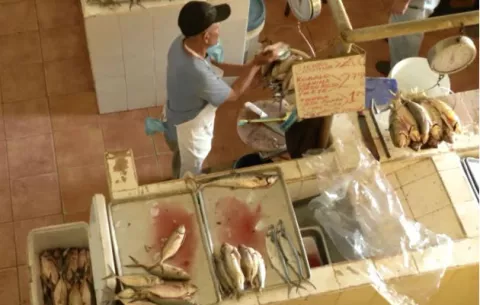 Invertirán 60 mil dólares en la restructuración del área de carnes de mercado  