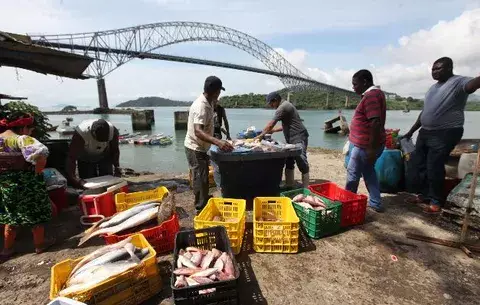  Local fishing industry loses competitiveness  