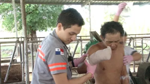 Pierde la mano derecha en trapiche de moler caña en San Carlos de David