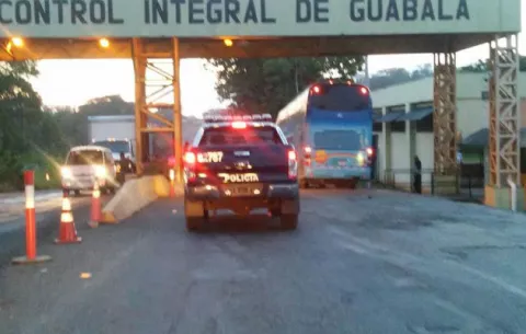 Decomisan droga en camión cargado con reses