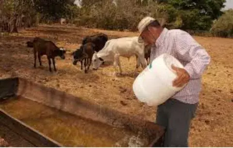 Sequía y lenta ejecución afectan a más de 50 mil personas en Azuero