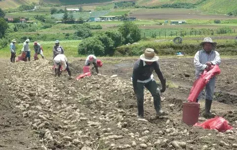 El Niño hits the Highlands (of Chiriquí) and raises cost of vegetables