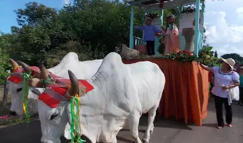 Proponen ley para la Semana del Campesino