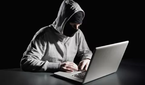 Latinoamérica sufre los delitos de  profesionales del robo digital de datos