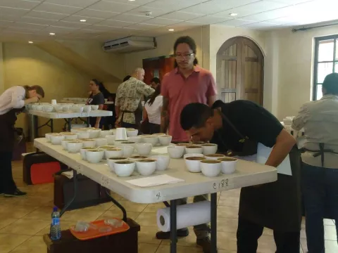 Culmina hoy catación nacional del café en Boquete