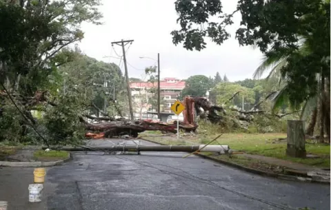 Caen árboles y postes de luz en Espinar, Colón 